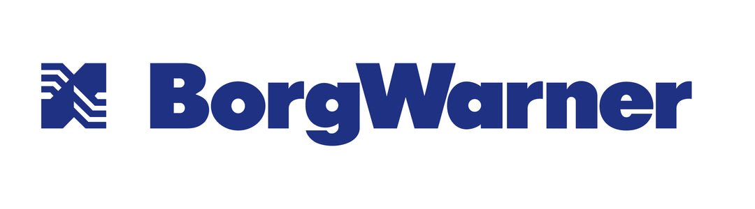 BorgWarner S100 317206